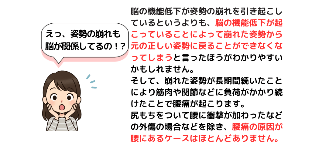 姿勢の崩れも脳の機能低下が原因